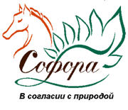 Логотип со слоганом — копия